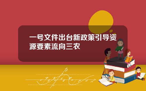 一号文件出台新政策引导资源要素流向三农