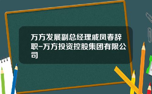 万方发展副总经理戚凤春辞职-万方投资控股集团有限公司