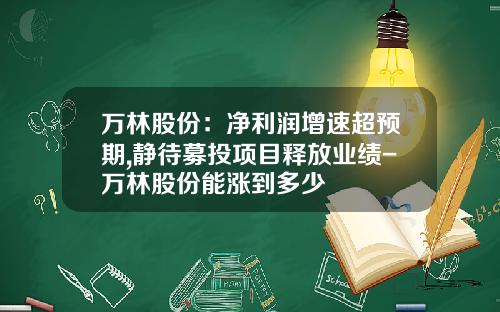 万林股份：净利润增速超预期,静待募投项目释放业绩-万林股份能涨到多少