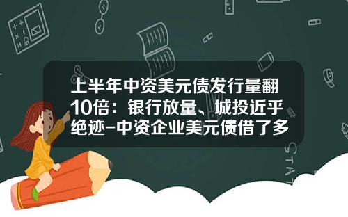 上半年中资美元债发行量翻10倍：银行放量、城投近乎绝迹-中资企业美元债借了多少