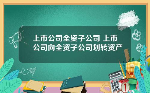 上市公司全资子公司 上市公司向全资子公司划转资产