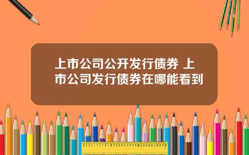 上市公司公开发行债券 上市公司发行债券在哪能看到