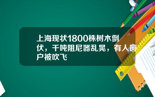 上海现状1800株树木倒伏，千吨阻尼器乱晃，有人窗户被吹飞