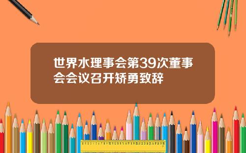 世界水理事会第39次董事会会议召开矫勇致辞