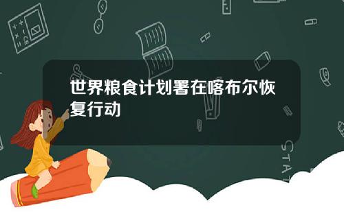 世界粮食计划署在喀布尔恢复行动