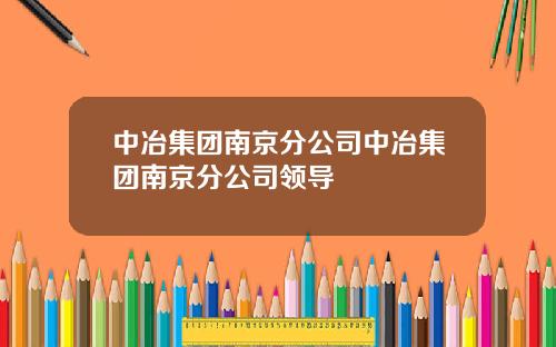 中冶集团南京分公司中冶集团南京分公司领导