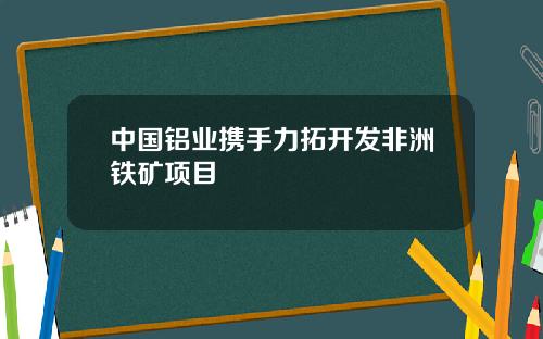 中国铝业携手力拓开发非洲铁矿项目