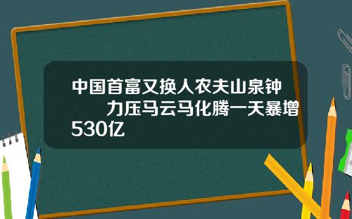 中国首富又换人农夫山泉钟睒睒力压马云马化腾一天暴增530亿