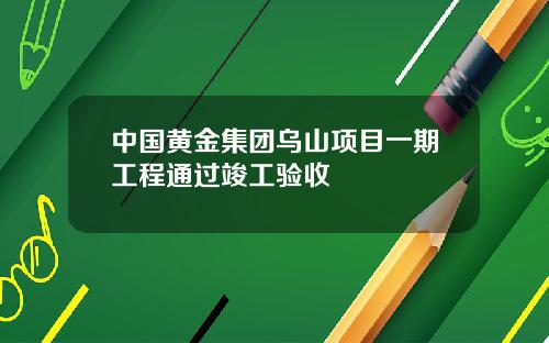 中国黄金集团乌山项目一期工程通过竣工验收