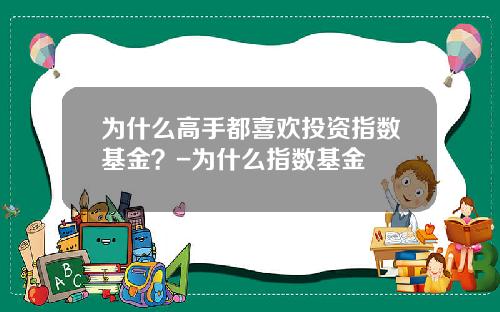 为什么高手都喜欢投资指数基金？-为什么指数基金