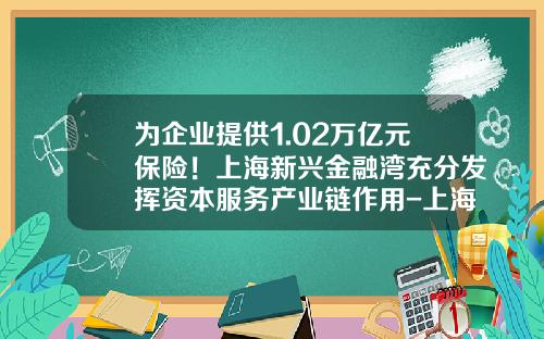 为企业提供1.02万亿元保险！上海新兴金融湾充分发挥资本服务产业链作用-上海自贸区保险公司