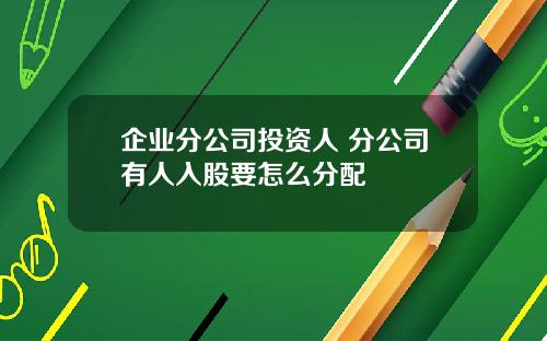 企业分公司投资人 分公司有人入股要怎么分配