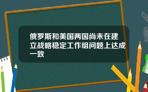 俄罗斯和美国两国尚未在建立战略稳定工作组问题上达成一致