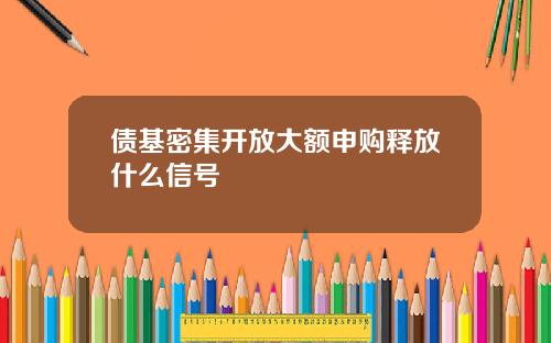 债基密集开放大额申购释放什么信号