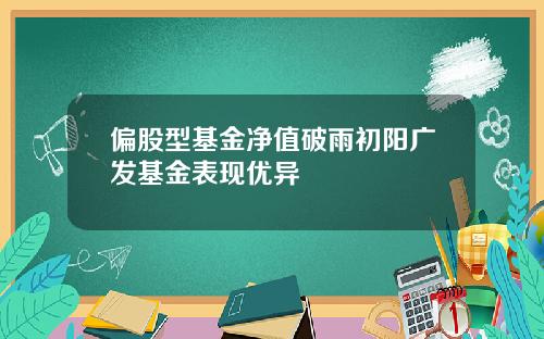 偏股型基金净值破雨初阳广发基金表现优异