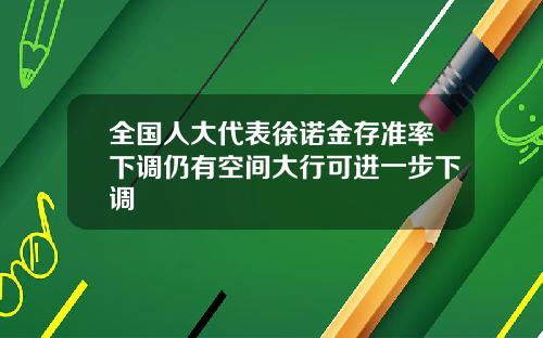 全国人大代表徐诺金存准率下调仍有空间大行可进一步下调