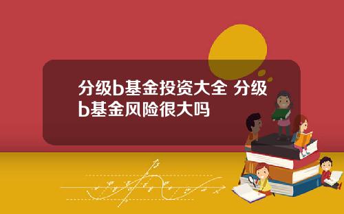 分级b基金投资大全 分级b基金风险很大吗