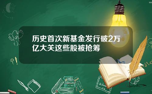 历史首次新基金发行破2万亿大关这些股被抢筹