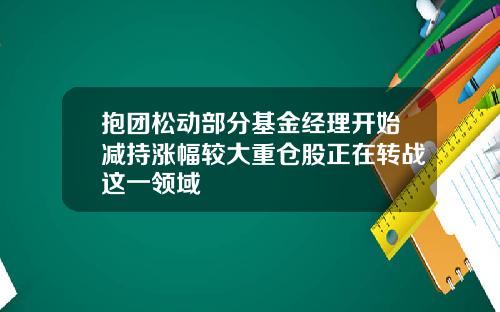 抱团松动部分基金经理开始减持涨幅较大重仓股正在转战这一领域