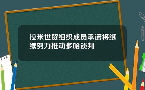 拉米世贸组织成员承诺将继续努力推动多哈谈判