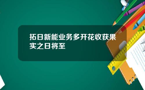 拓日新能业务多开花收获果实之日将至