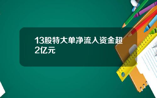 13股特大单净流入资金超2亿元