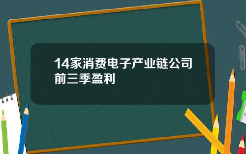 14家消费电子产业链公司前三季盈利