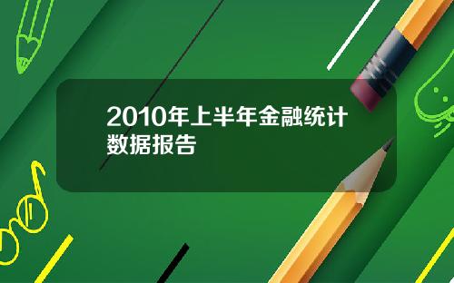 2010年上半年金融统计数据报告