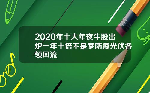 2020年十大年夜牛股出炉一年十倍不是梦防疫光伏各领风流