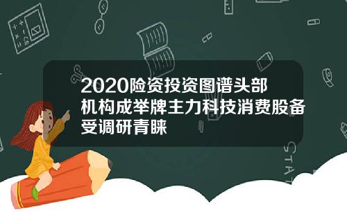 2020险资投资图谱头部机构成举牌主力科技消费股备受调研青睐