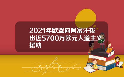 2021年欧盟向阿富汗拨出近5700万欧元人道主义援助