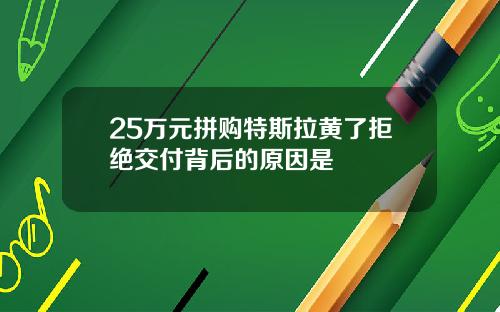 25万元拼购特斯拉黄了拒绝交付背后的原因是