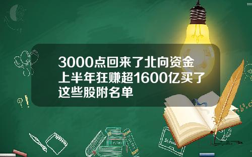 3000点回来了北向资金上半年狂赚超1600亿买了这些股附名单