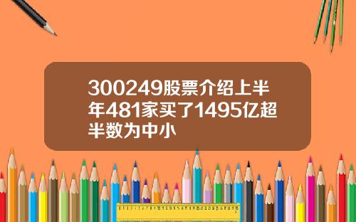 300249股票介绍上半年481家买了1495亿超半数为中小