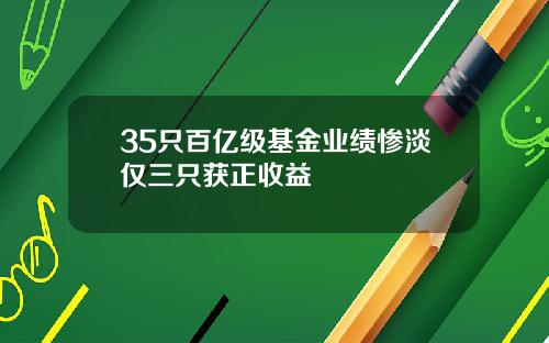 35只百亿级基金业绩惨淡仅三只获正收益