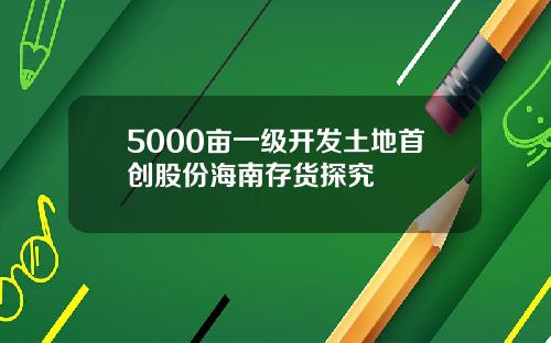 5000亩一级开发土地首创股份海南存货探究