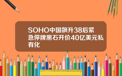 SOHO中国飙升38后紧急停牌黑石开价40亿美元私有化