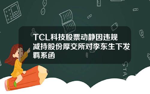 TCL科技股票动静因违规减持股份厚交所对李东生下发羁系函