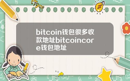 bitcoin钱包很多收款地址bitcoincore钱包地址