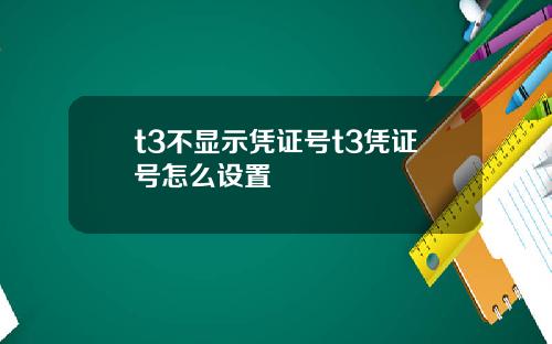 t3不显示凭证号t3凭证号怎么设置