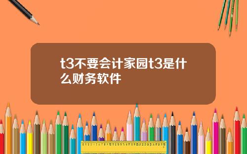 t3不要会计家园t3是什么财务软件