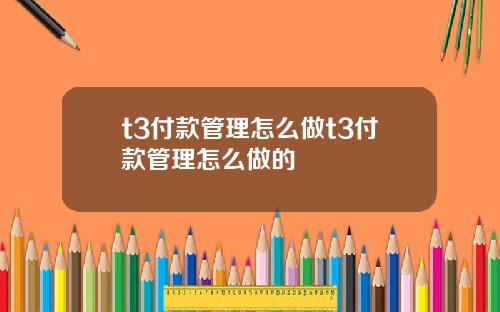 t3付款管理怎么做t3付款管理怎么做的