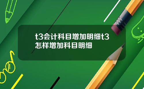 t3会计科目增加明细t3怎样增加科目明细