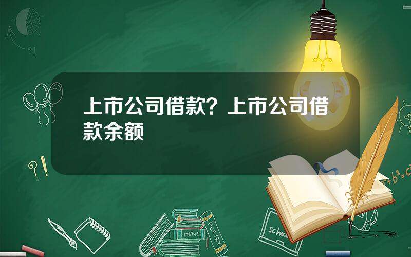 上市公司借款？上市公司借款余额