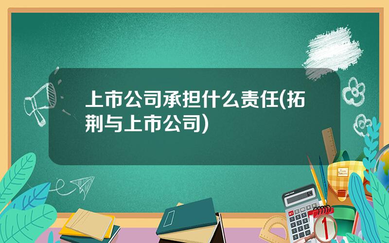 上市公司承担什么责任(拓荆与上市公司)