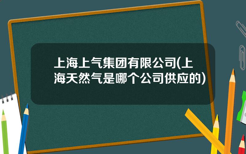 上海上气集团有限公司(上海天然气是哪个公司供应的)