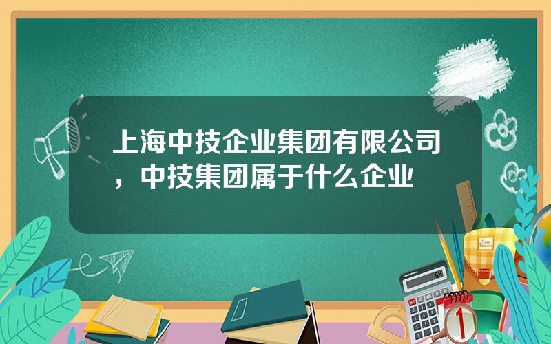 上海中技企业集团有限公司，中技集团属于什么企业