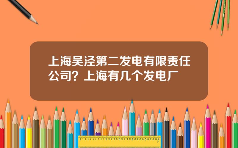 上海吴泾第二发电有限责任公司？上海有几个发电厂