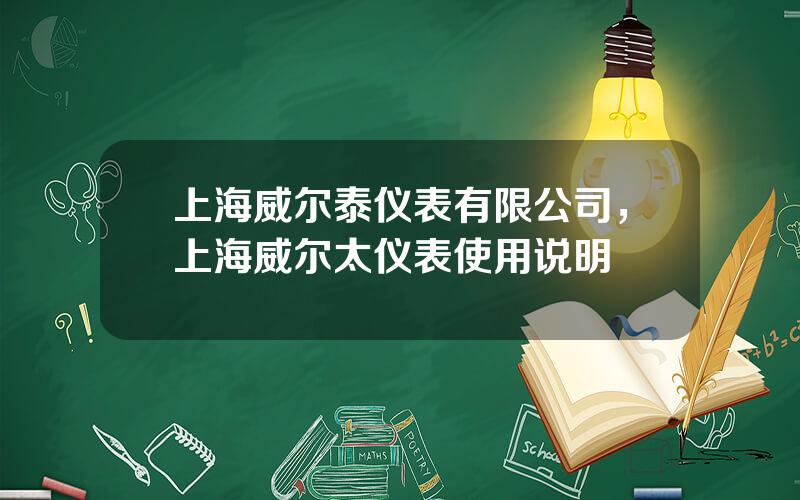 上海威尔泰仪表有限公司，上海威尔太仪表使用说明