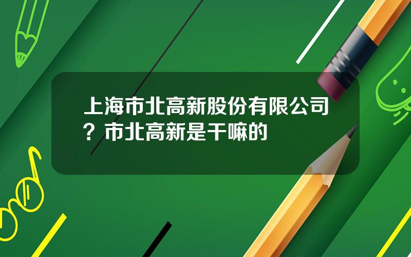 上海市北高新股份有限公司？市北高新是干嘛的